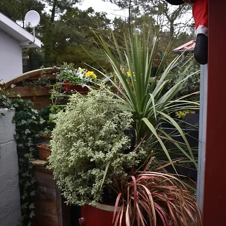 Nocleg ze śniadaniem Chez Augustin 3*