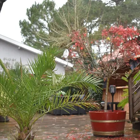 Chez Augustin 3* 라카노오세앙