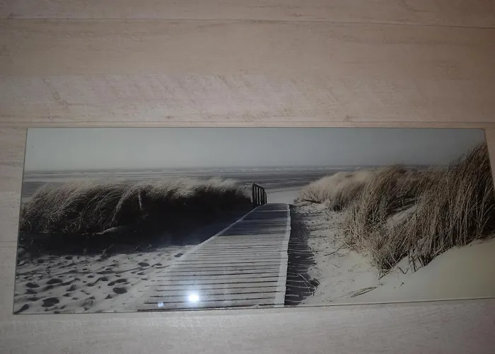 Chez Augustin 3* Lacanau