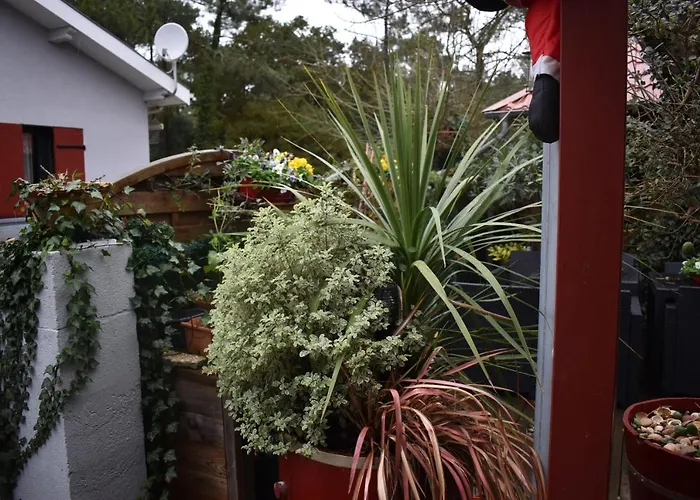 Nocleg ze śniadaniem Chez Augustin 3*