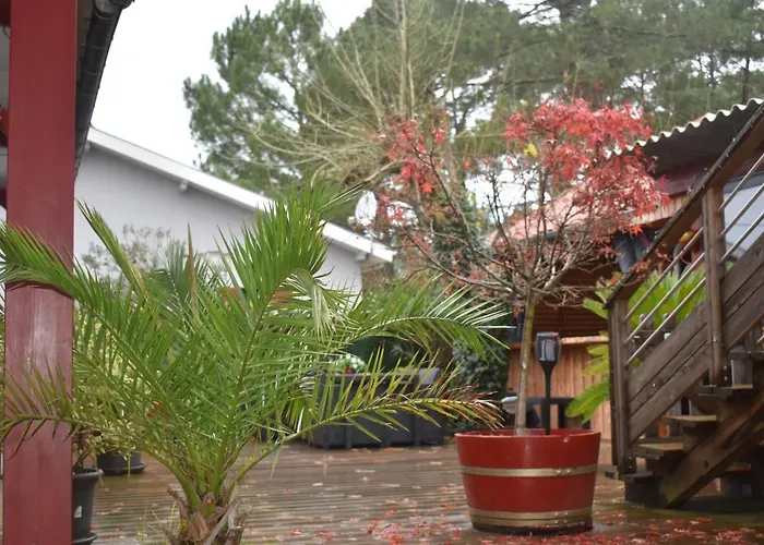 Chez Augustin 3* Lacanau